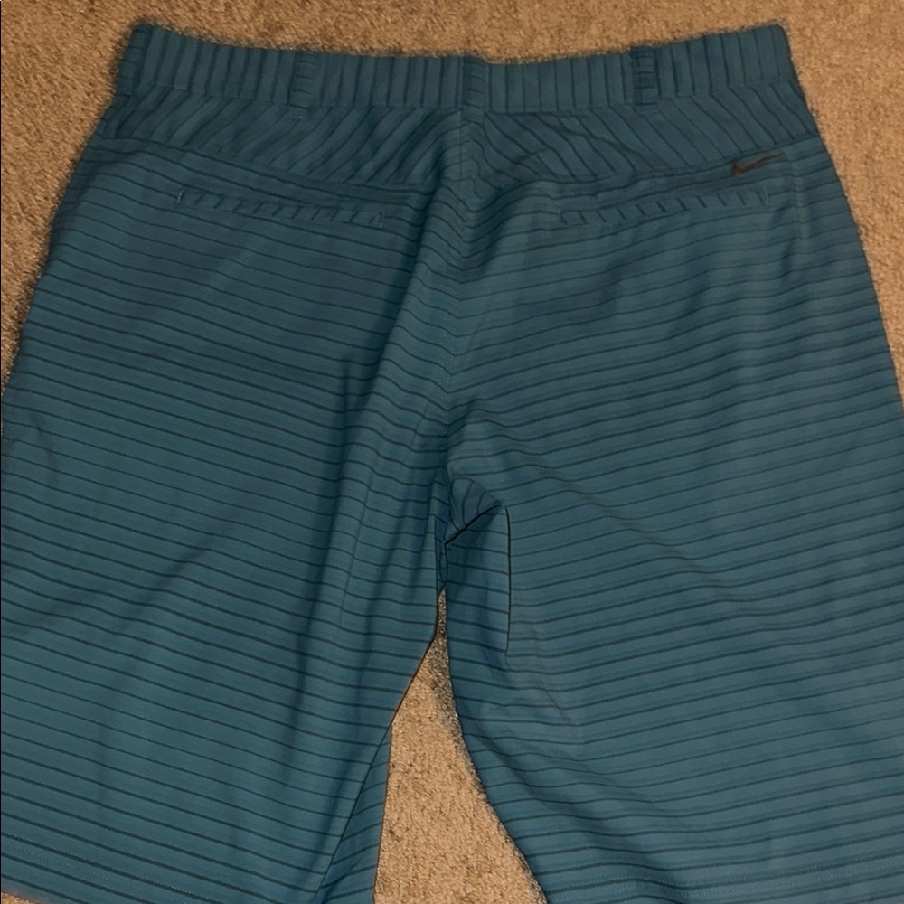 Blue Striped Short - Picture 3 of 3